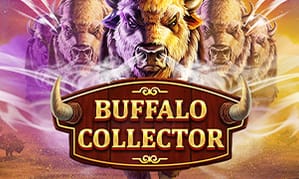 Hình ảnh trò chơi Buffalo Collector tại pg66